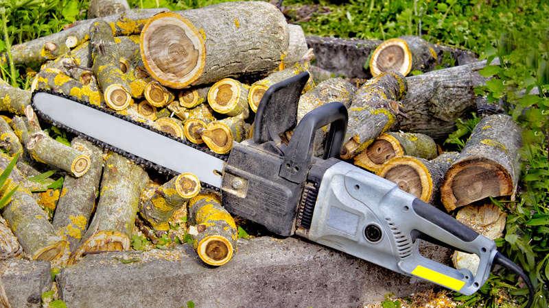 3 Reasons to Contact a Stump Removal Company in Naples FL Right Away