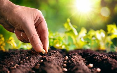 Enhance Your Garden with Quality Topsoil Products Near Oconomowoc, WI