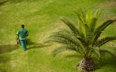 Bring Your Outdoor Vision to Life with a Landscape Designer in Sammamish, WA