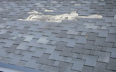 Homeowners Choose Metal Roofing in Davenport, FL for Lasting Protection and Style