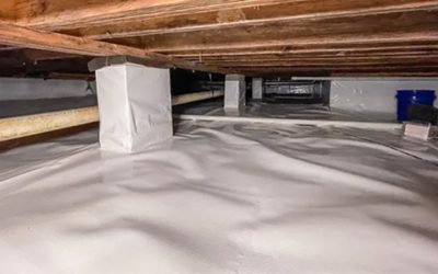 How to Handle Mold In My Crawl Space Arkansas for a Healthier Home Environment